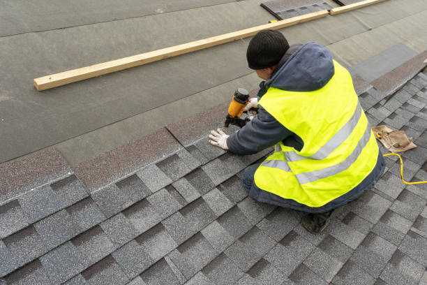 Best Roof Gutter Cleaning  in Westminster, LA